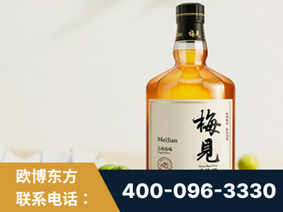 黄骅-梅见青梅酒